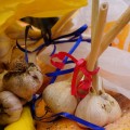 DSC02458 9 1280x854
